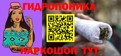 скорость Обь